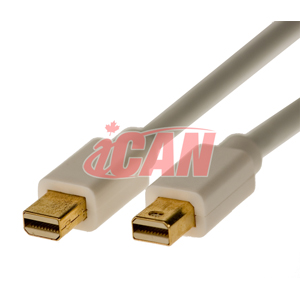 iCAN Mac Mini DisplayPort vers Mini DisplayPort, câble 32AWG, mâle vers mâle, plaqué or, 6 pieds