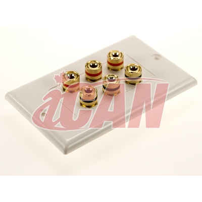 iCAN High Quality Banana Binding Post 2-Piece Inset Wall Plate