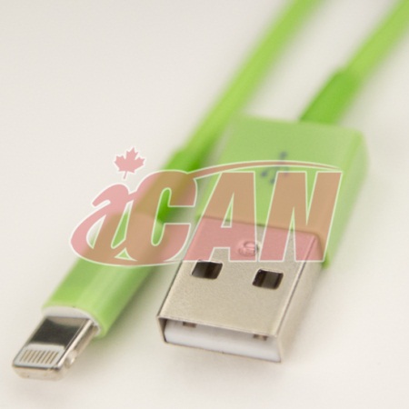 Câble ICAN Lightning mâle vers USB mâle pour la synchronisation et la charge des données