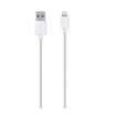 BELKIN (10 ft) Lightning to USB 2.0 Cable - White