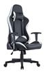 iCAN Ergonomic Gaming Chair, PVC Cover, Shaping Foam + Original Foam,  2D Armrests, 350mm Nylon Base, 60mm PU Caster, Class 4 Gas Lift. Black & White