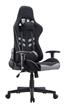 iCAN Ergonomic Gaming Chair, Mesh Fabric, Shaping Foam + Original Foam,  2D Armrests, 350mm Nylon Base, 60mm PU Caster, Class 3 Gas Lift. Black & Grey