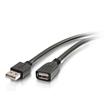 Cables To Go USB A Male to Female Active Extension Cable 32ft– Plenum, CMP-Rated (39011)