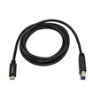 StarTech Cable USB-C male to USB-B male 6ft Thunderbolt 3 Compatible - Black (USB315CB2M)