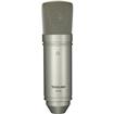 TASCAM TM-80 Studio Condenser Microphone, Silver | Cardioid Polar Pattern | 18mm Aluminum Capsule | Vocals, Acoustic Instrument Capture