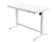 iCAN Office Desk, Electric Height Adjustable, 120*60*72-120cm, 12mm Wooden Tabletop, 2 Type A, 1 Type C, White