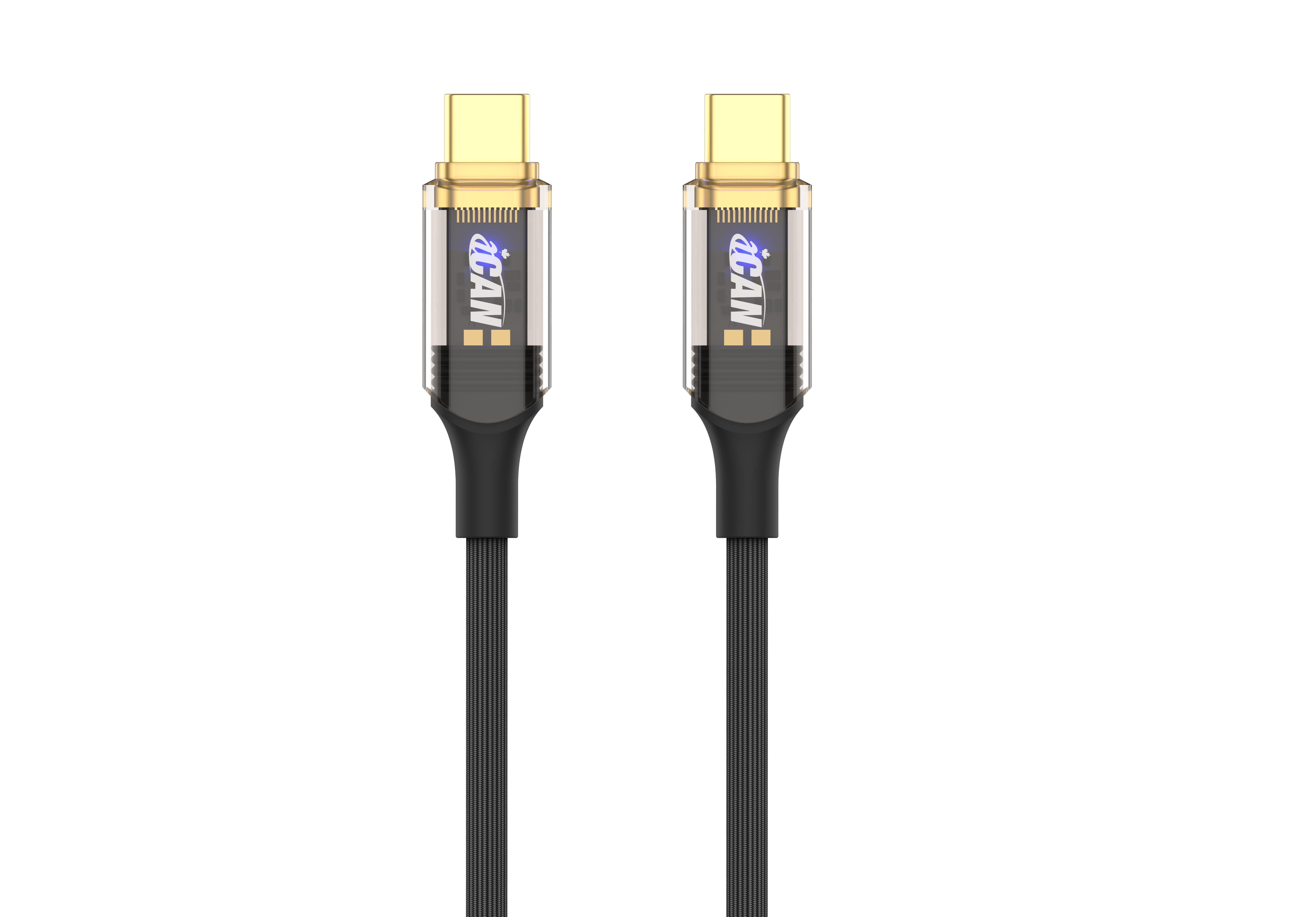 iCAN USB 2.0 Type-C Male to Type-C Male Cable, 100W, 6.6ft