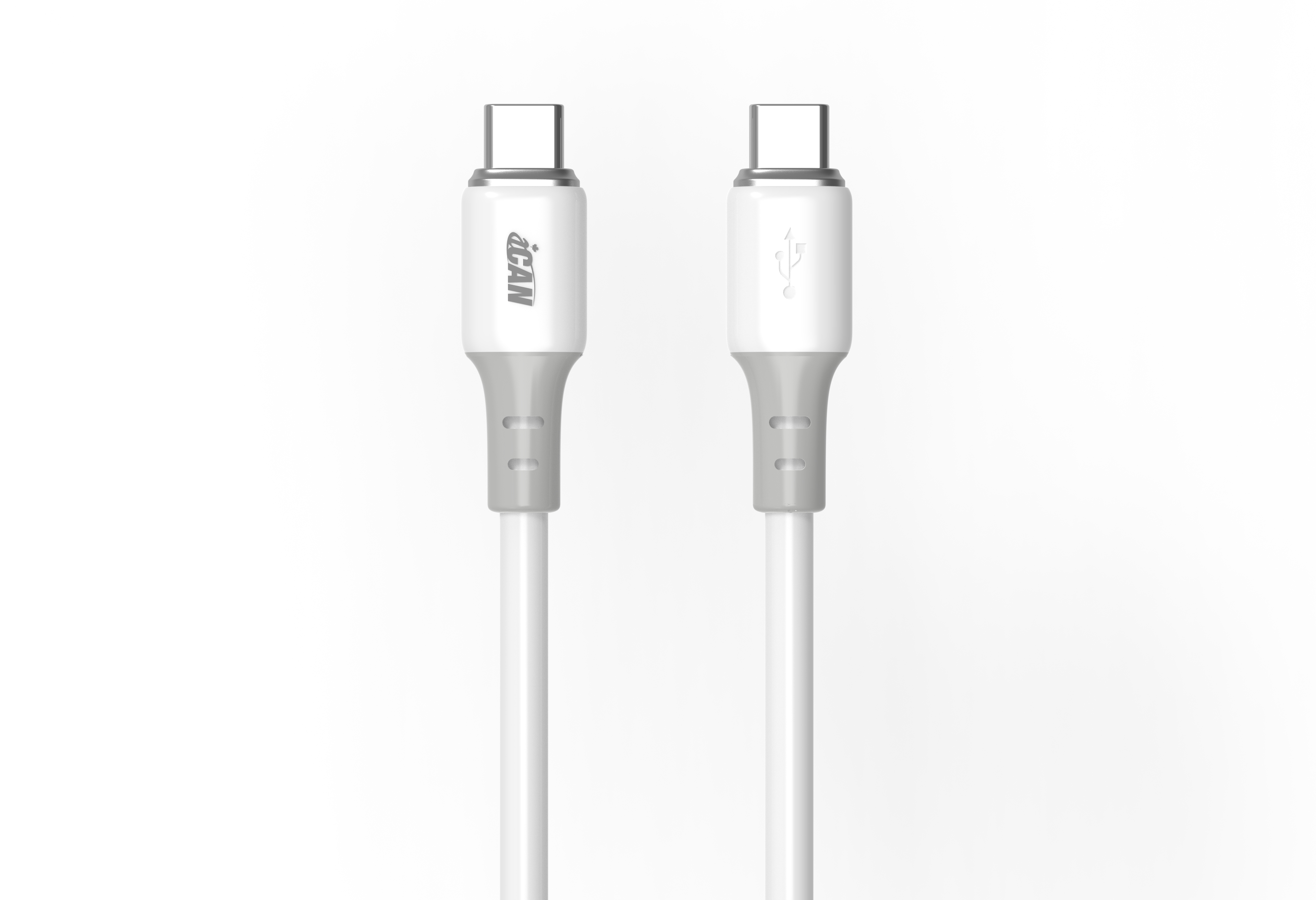 iCAN USB 2.0 Type-C Male to Type-C Male Cable, 100W, 6.6ft