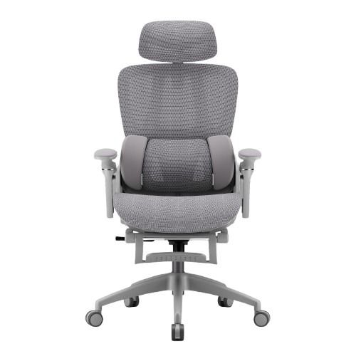 iCAN E21-GY Reclining Ergonomic Office Chair(Open Box)