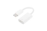 iCAN USB Type-C Male to Lightning Female charging and data adapter(Open Box)