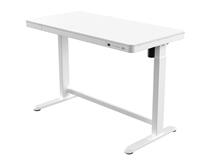 iCAN Office Desk, Electric Height Adjustable, 120*60*72-120cm, 12mm Wooden Tabletop, 2 Type A, 1 Type C, White