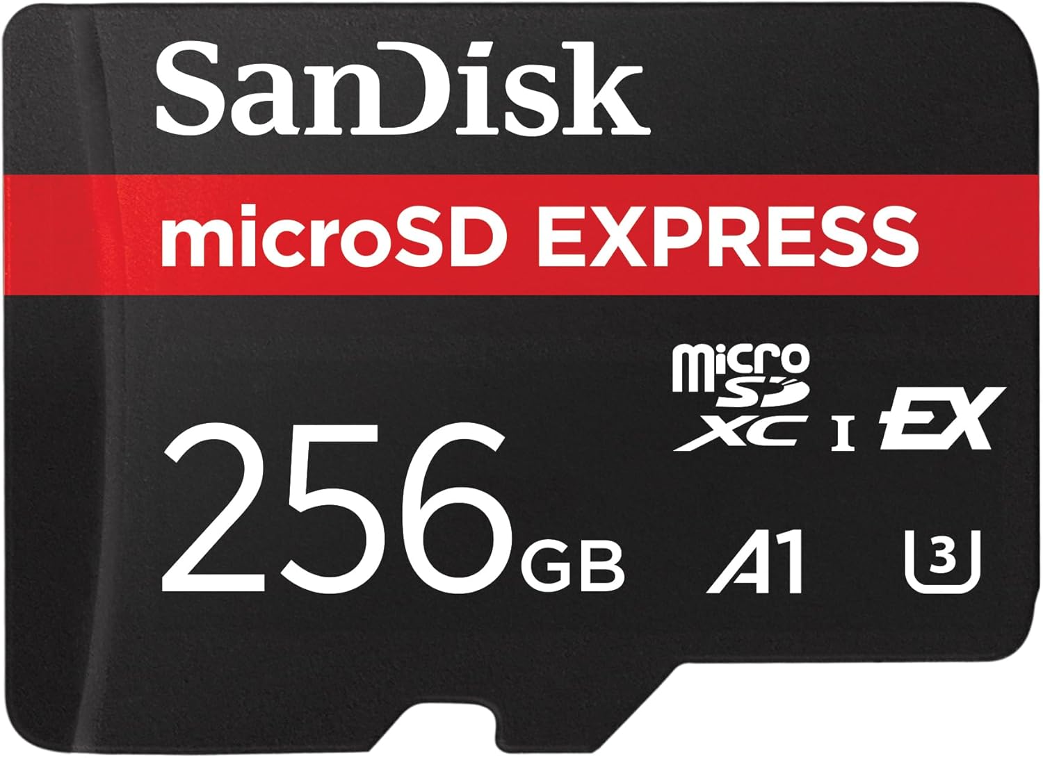 SanDisk GamePlay 256GB microSDXC UHS-I U3 A1