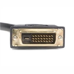 STARTECH DVI-D to 2x DVI-D Digital Video Splitter Cable M/F - 1 ft.