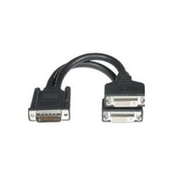 C2G One LFH-59 (DMS-59) Male to Two DVI-I Female Cable 9in (38064)