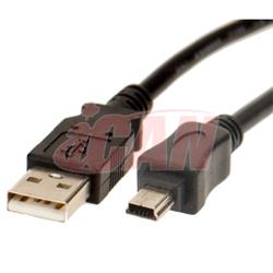 iCAN Mini USB2.0 5-pin Cable for Camera/Camcorder - 1 ft.