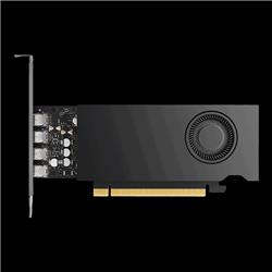 Carte graphique PNY NVIDIA RTX 2000E Ada Pro (VCNRTX2000ADAS-LLP)
