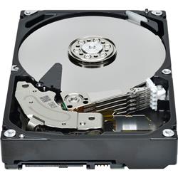 Disque dur interne Toshiba X25 3,5 pouces N300 6 To
