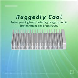 OWC Express 1M2 USB4 Argent