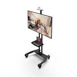 KANTO MTM65PL Mobile TV Mount, Rolling TV Carts