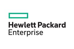 HEWLETT PACKARD ENTERPRISE NS204iu Gen11