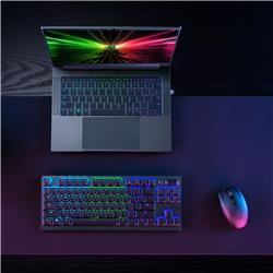 Razer Blade 14 14" QHD+ Ryzen 9 8945HS RTX 4070 32GB 1TB WIN11H