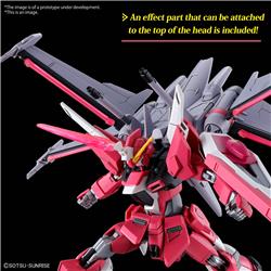 BANDAI HGCE #251 1/144 Infinite Justice Gundam TypeII