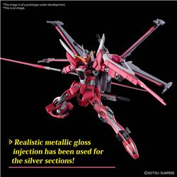 BANDAI HGCE #251 1/144 Infinite Justice Gundam TypeII