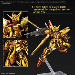 BANDAI RG 1/144 Akatsuki Gundam Oowashi Unit "Gundam SEED Destiny" Model kit