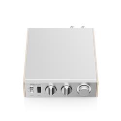 FIIO LEVEL 1 Amplificateur de puissance audio haute résolution, argent