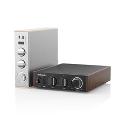 FIIO LEVEL 1 Amplificateur de puissance audio haute résolution, argent