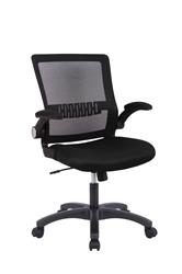 iCAN Mesh Home Office Chair, Ergonomic Design