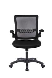 iCAN Mesh Home Office Chair, Ergonomic Design