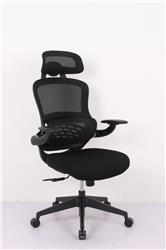 iCAN HLC-3566F-1M Mesh Office Chair