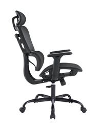 iCAN All Mesh Ergonomic Office Chair(Open Box)