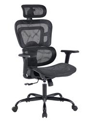 iCAN All Mesh Ergonomic Office Chair(Open Box)