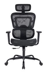 iCAN All Mesh Ergonomic Office Chair(Open Box)