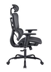 iCAN All Mesh Ergonomic Office Chair(Open Box)