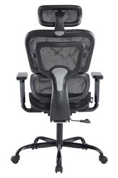 iCAN All Mesh Ergonomic Office Chair(Open Box)