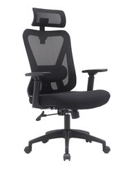 iCAN KW-M25 Mesh Office Chair