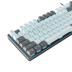 Aula F3287 Wired Mechanical Gaming Keyboard with Blue Switches,White&Grey Mixed Color Keycaps,Programmable Macro Keys