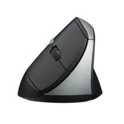 Rapoo EV250 Ergonomic Silent Wireless Mouse