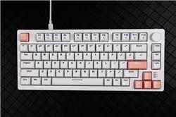 DAREU EK75-W Wired Rainbow Backlight Mechanical Keyboard with Linear Switches,White