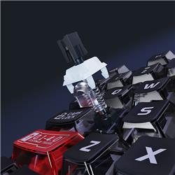 Dareu EK75 RT Wired Magnetic Mechanical Gaming Keyboard with Analog Hall-Effect Switches