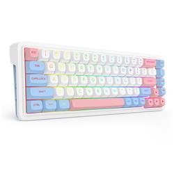 Clavier de jeu mécanique Redragon K709 Tri Mode 65 % RVB