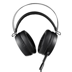 RAPOO VH160S Black Virtual 7.1 Channels Gaming Headset USB