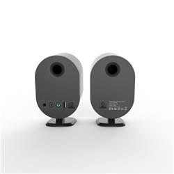 Enceinte de jeu iCAN GM-SR04