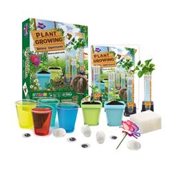 Expérience botanique de culture de plantes BIG BANG SCIENCE | STEM (ST