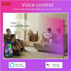 iCAN Smart Corner Floor Lamp,Voice control,Remote Control.