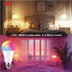 iCAN Smart Light Bulbs, A19 E26 RGBCW Color Changing LED Light Bulb.