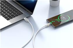 iCAN Warm LED USB 2.0 Type-A Male to Type-C Male Cable, 3A, 6ft(Open Box)